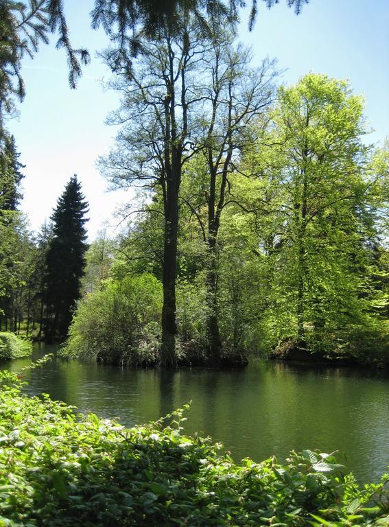 Augustenhof Bad Elster Bagian luar foto